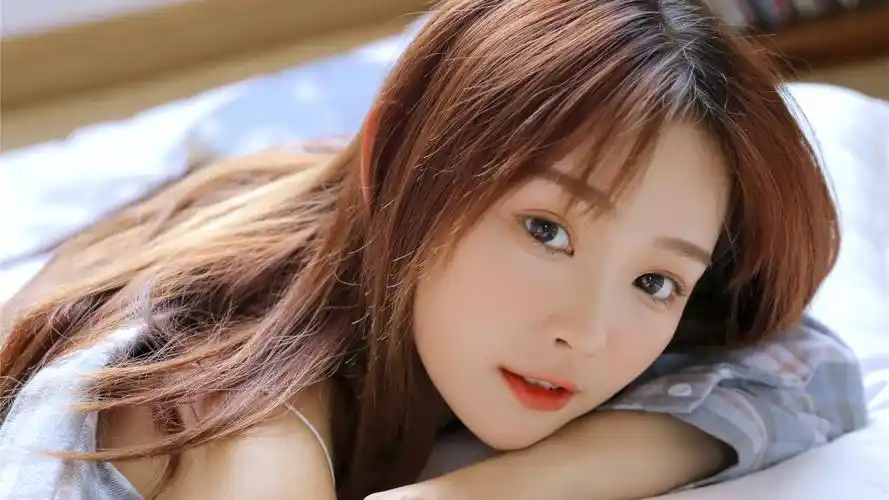 晨光窗畔